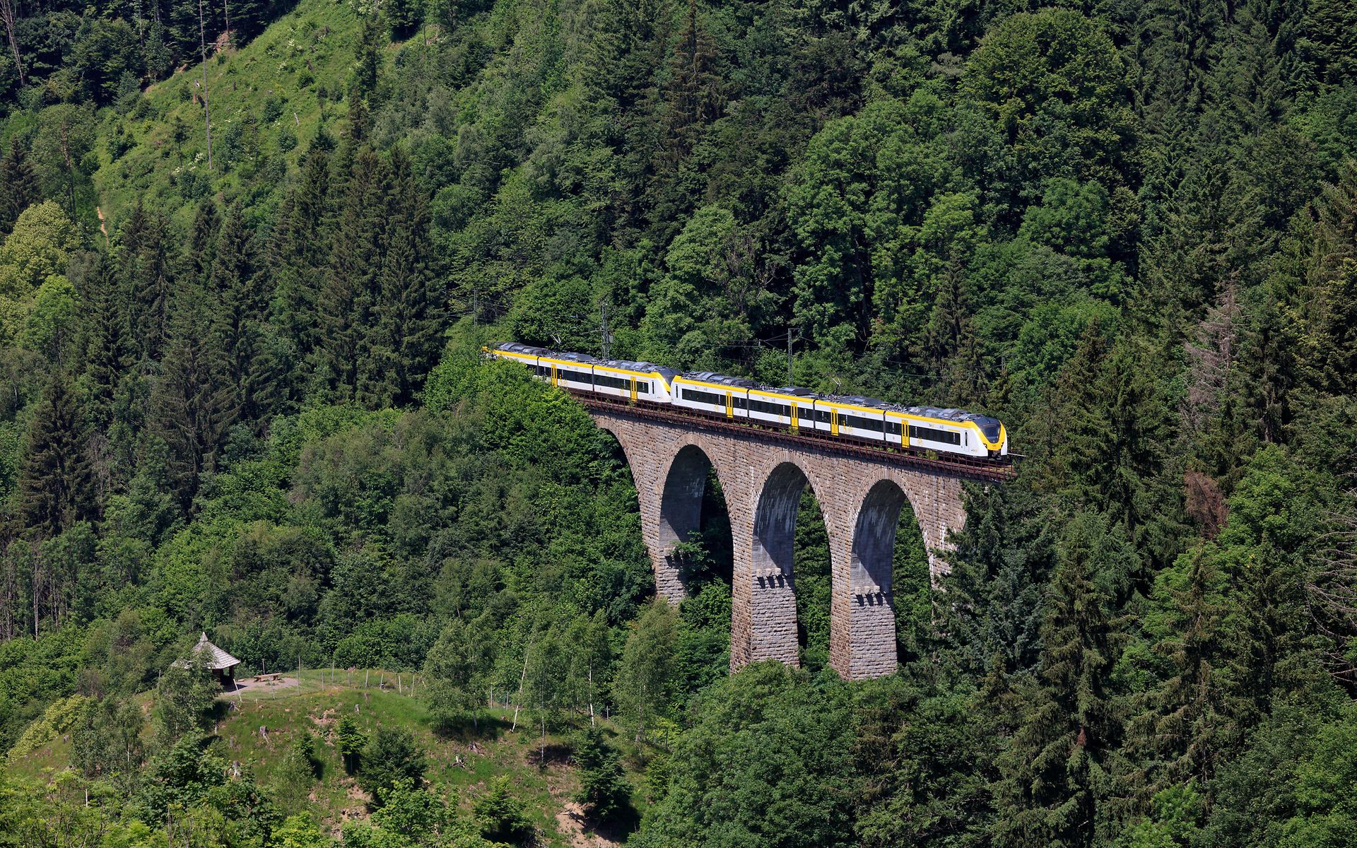 Dekorative Grafik: Regionalbahn auf der Höllentalbahn
